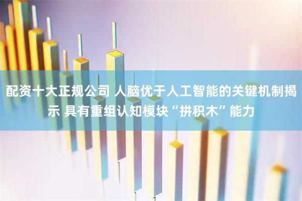 配资十大正规公司 人脑优于人工智能的关键机制揭示 具有重组认知模块“拼积木”能力