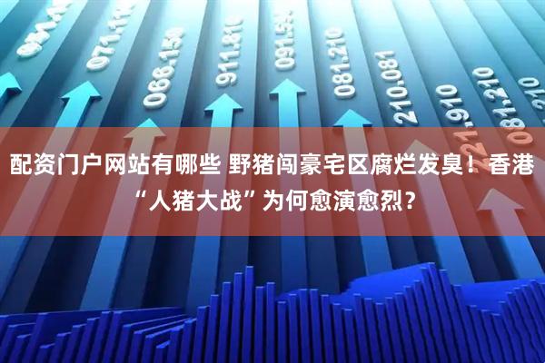 配资门户网站有哪些 野猪闯豪宅区腐烂发臭！香港“人猪大战”为何愈演愈烈？
